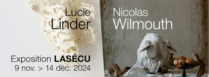 Exposition Lucie Linder et Nicolas Wilmouth